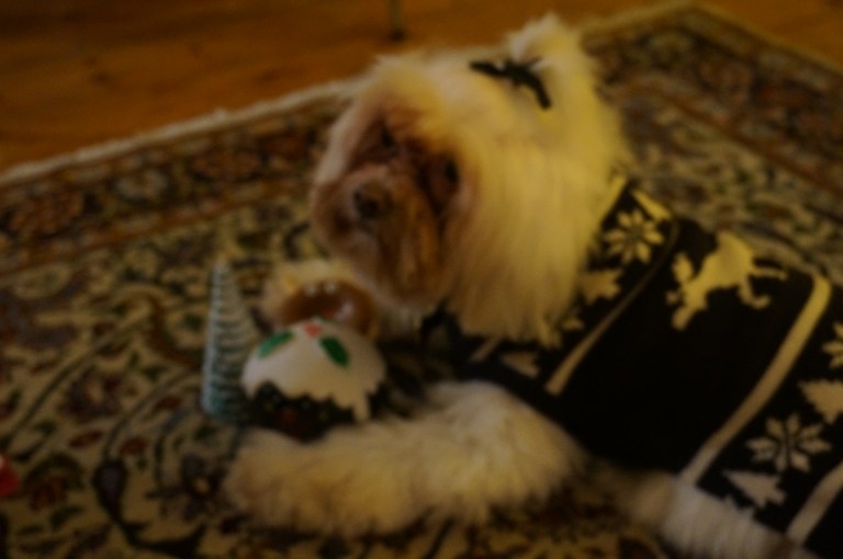 Bianca with her pudding